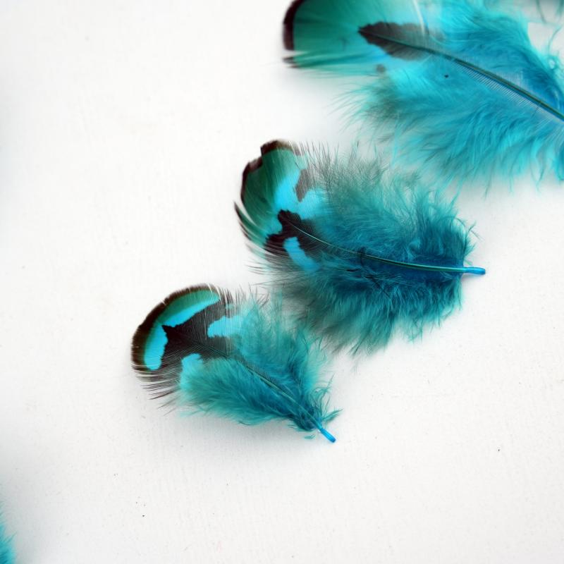 Natural DIY Pheasant Feathers  - огляд і ціна Wedding Supply In Bulk