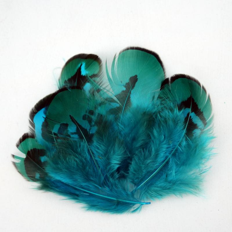 Natural DIY Pheasant Feathers  - огляд і ціна Wedding Supply In Bulk