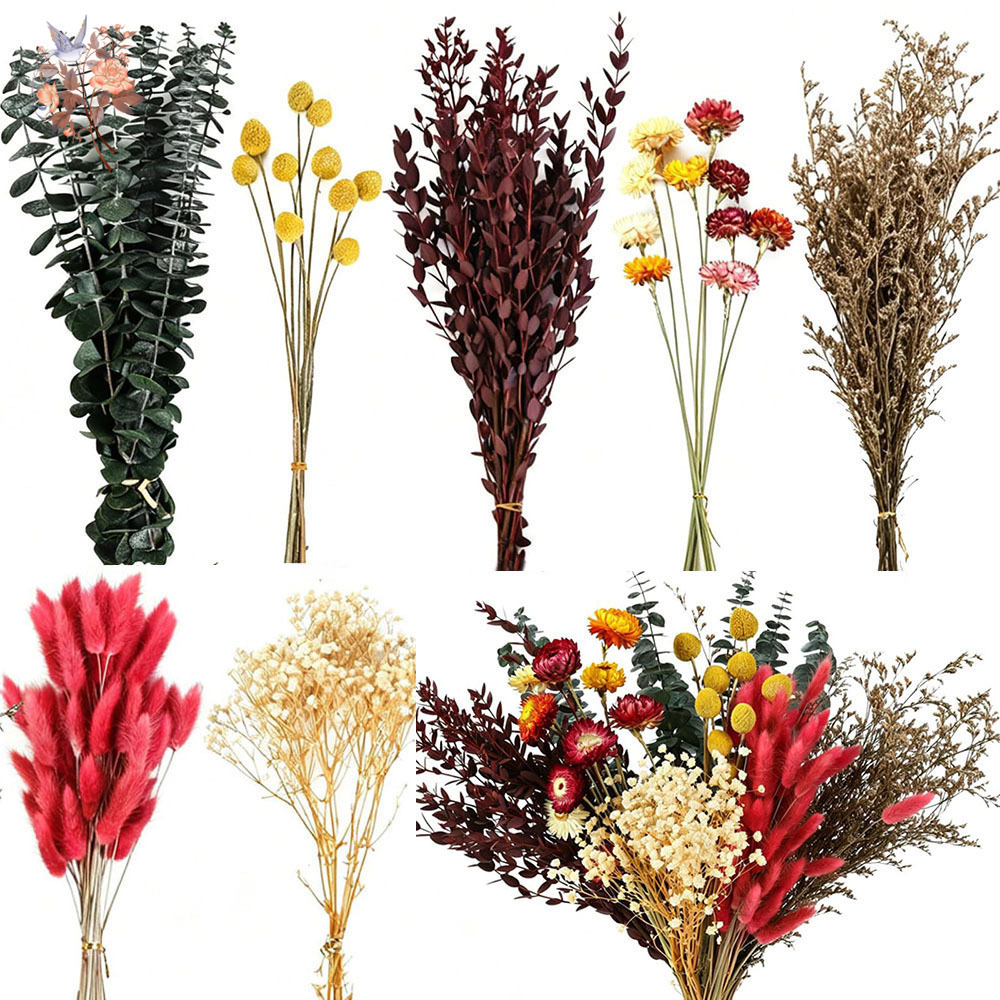 Dried Flowers Bulk Set 7 Kinds - огляд і ціна Wedding Supply In Bulk